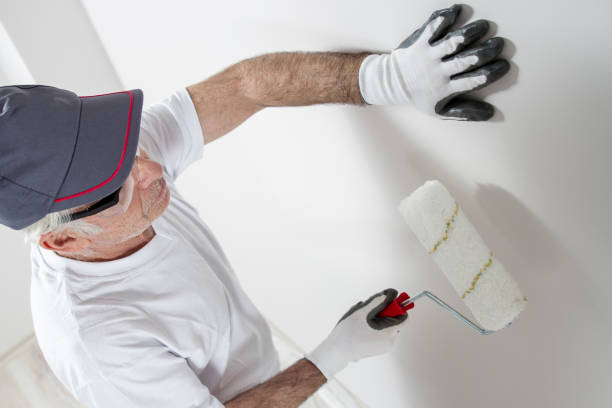 Best HVAC Mold Inspection and Cleaning  in Orchard Mesa, CO