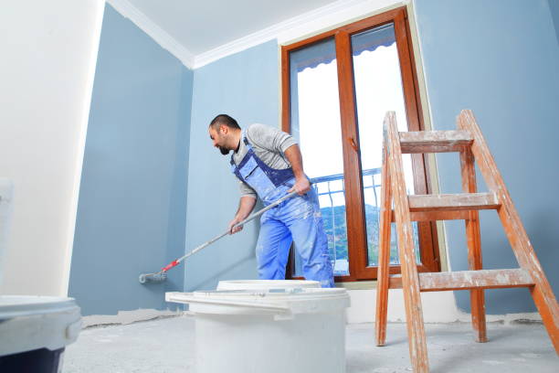 Best Environmental Consulting for Mold Prevention  in Orchard Mesa, CO