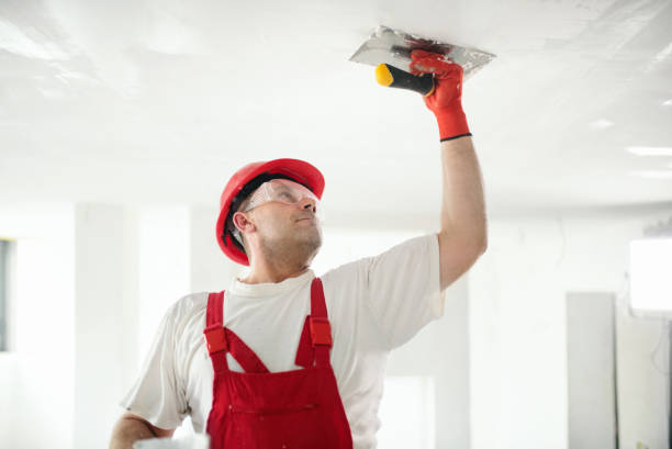 Environmental Consulting for Mold Prevention in Orchard Mesa, CO