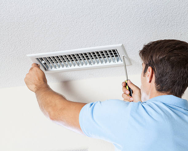 Reliable Orchard Mesa, CO Mold Removal Solutions