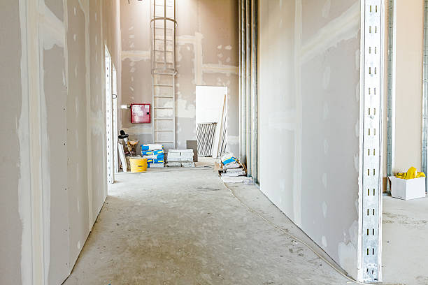 Best Mold Remediation for Rental Properties  in Orchard Mesa, CO